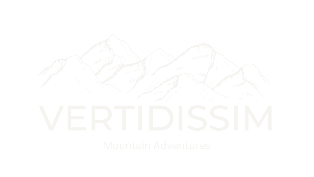 LOGO VERTIDISSIM MOUNTAIN ADV