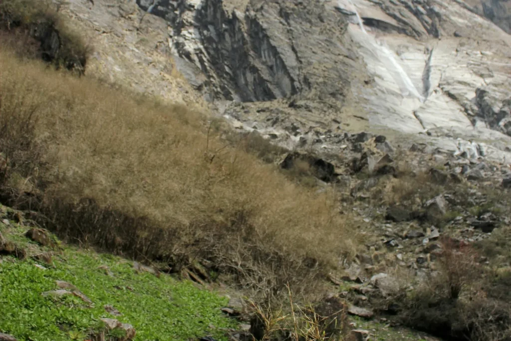 ev-07-guia-sherpa-sendero-khumbu